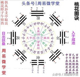 免费算命看八字神煞(免费查八字排命盘,推荐几个免费算八字的网站。)