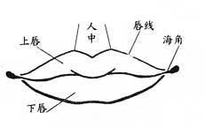 八字算命秘诀图解大全(风水命理中生辰八字的算法,超简单实用,值得收藏)