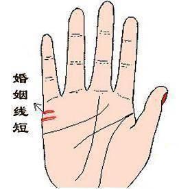 排八字算命准还是手相准(手相和八字哪个更准一些)