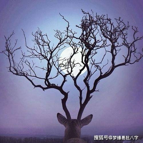 查八字命格免费算命网站(最准的八字测试免费测试,哪个网站按生辰八字测试姓名比较准确)