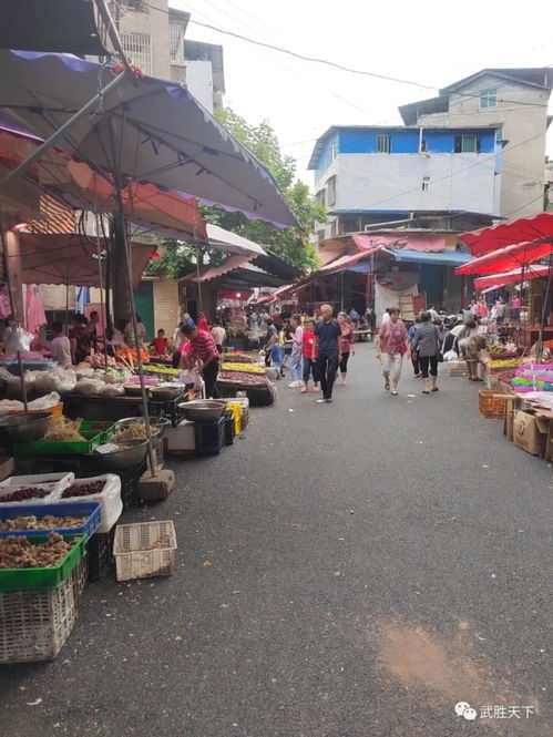 武胜八字街算命大师(请大师算命,八字,称骨看今年事业财运 )