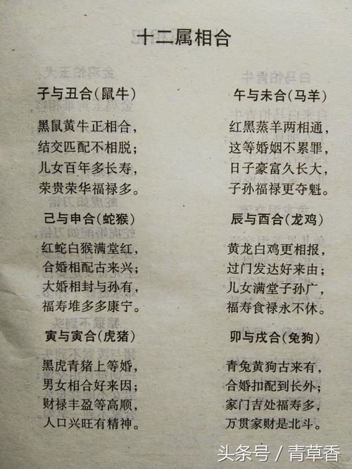 十二生肖在命里的配对(十二生肖的婚姻配对)