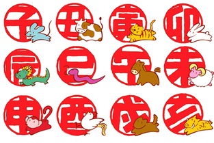 十二生肖婚姻配对猪(属猪配什么属相好 )