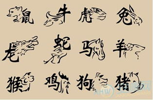 古语生肖配对(古代的婚配属相,属相婚配的由来是怎样的 )