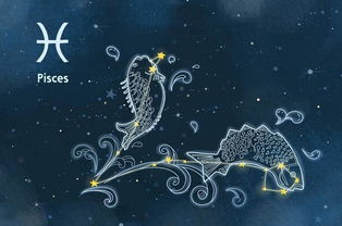 射手座和王者星座配对(射手座和各个星座的配对指数 )