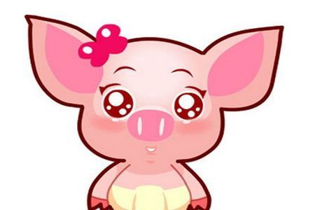 属马的最佳生肖配对猪和鼠(马和猪属相合不合)