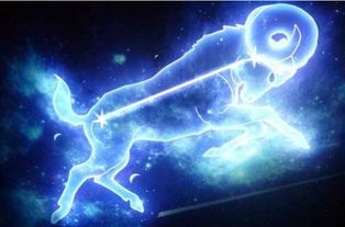 摩羯座与月食星座配对(摩羯座最佳星座配对)