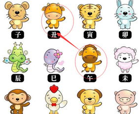 牛与十二生肖终极情感配对(牛配什么生肖最好牛生肖婚配哪个生肖合适)
