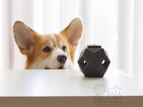 狗的生肖与命格配对好吗(十二生肖相生相克,属狗和属兔的般配吗 )