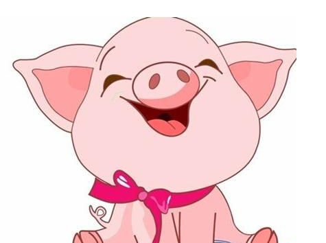 生肖婚姻配对狗猪(属狗和属猪的婚姻如何)