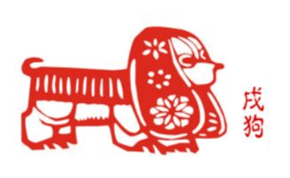 生肖狗的姻缘配对(狗和狗属相合不合婚姻)