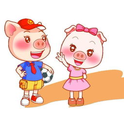 生肖猪男配对生肖兔(属猪男和属兔女配不配)