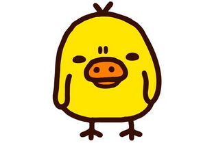 生肖男鸡配对婚姻如何(男鸡女鸡婚配)