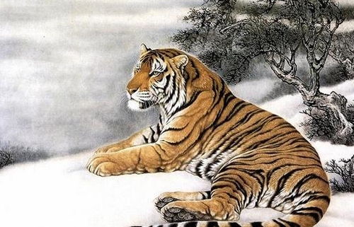 生肖虎不能配对的生肖(属虎结婚当天回避属相)