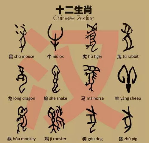 生肖配对图头像(十二生肖最佳配对表格图片)