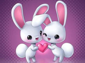 生肖配对女虎男兔(男兔女虎能不能结婚)