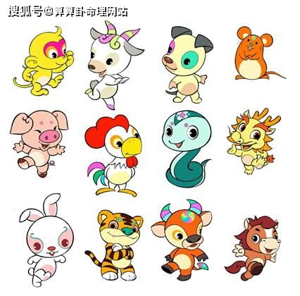 生肖龙的与虎配对(生肖龙和生肖虎能不能婚配 )