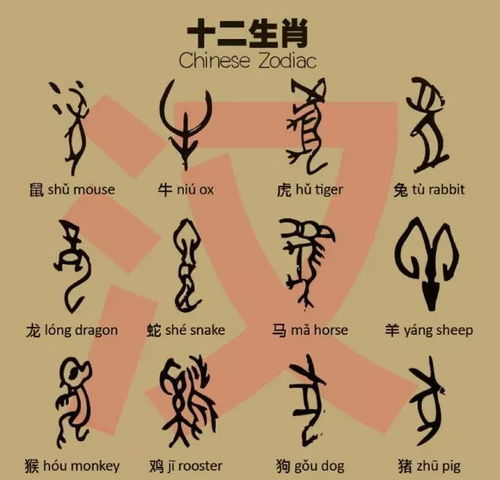 适合夫妻生肖配对的属相(十二属相最佳配对表)