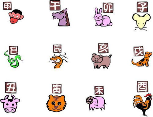 龙跟鼠生肖配对最好(属龙和属鼠相配吗)