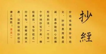 万年孤独命理遇见爱的小说( 我们终将遇见爱与孤独 这辈子请对自己的幸福负责 )