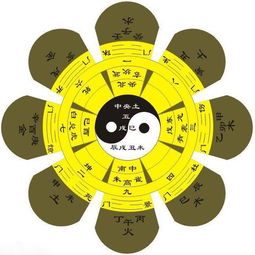 命理和五行冲突(命理解说 五行属金和什么相克 )