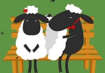 命理属羊的人的婚姻(属羊的最佳伴侣)