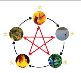 怎么看命理五行缺啥(怎么查命里缺什么)