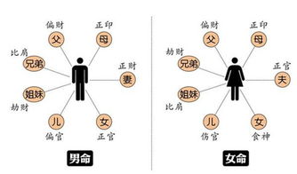 有关婚姻的命理分析题(如何利用八字来看婚姻 )