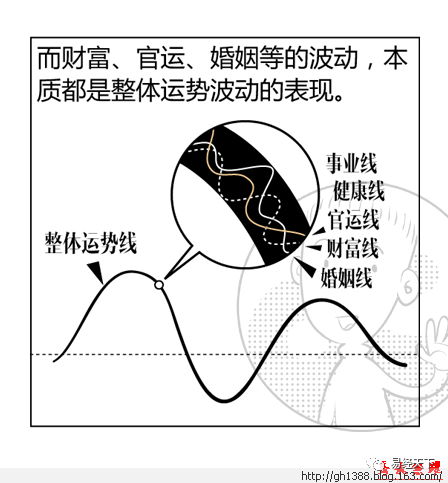 袁子涵五行命理讲解(戊寅年乙丑月命理五行,戊寅年是什么命)