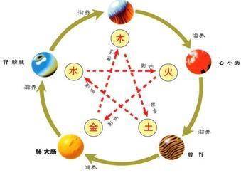身体五行命理图表分析男女(出生五行相生相克查询表,生辰八字五行相生相克)