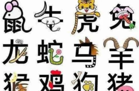 属相生肖准备吗(生肖属相真的准吗,生肖配对准吗 有人相信吗 )
