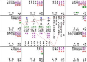 紫微星命盘分析(紫薇命盘详解)