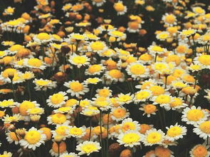 五格数理取名男(邹姓男孩取名中间要有国字)