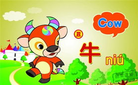 70年属兔人最佳婚配属相(属兔人的生肖属相婚配配对 )