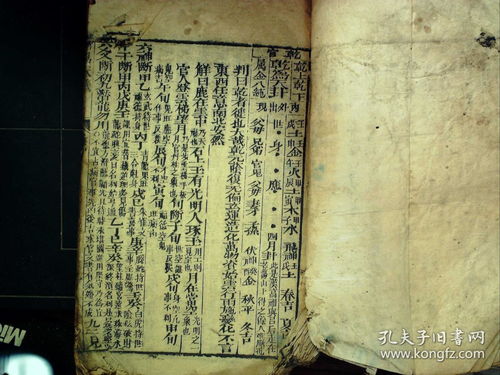 明朝朱隶的紫微命盘(朱棣明朝永乐皇帝朱棣简介)