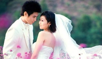 夫妻宫紫微陷天相旺(紫微斗数夫妻宫 天相星 )