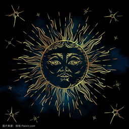 紫微星是紫微命宫吗(紫微星入命何意)