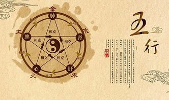 包含95年生肖猪八字命理分析的词条(1995年是什么命 1995年出生的属猪人的命运)