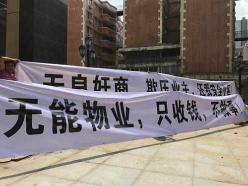 姓名数理36的解释视频(陈雨涵名字的含义帮我们解释一下 )