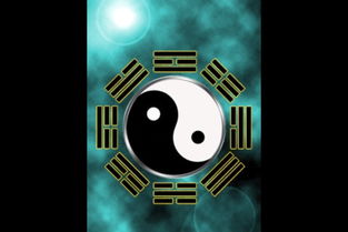 包含紫微排盘主星相同四化不同的词条(紫薇命盘怎么看)