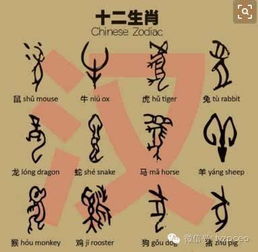 头像图片属相配对女(属狗女的最佳婚配属相)