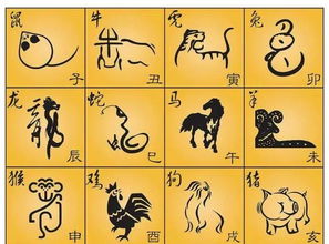 12属相里面最合的(十二属相婚配最佳组合)