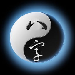 算命大师讲解八字真经(八字算命怎么学)