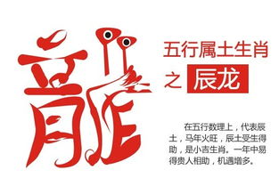 十二生肖五行数理(12生肖所对应的数字)