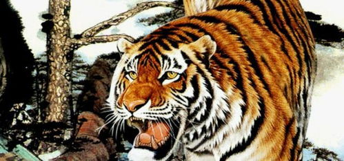 生肖虎和兔哪个属相好(属虎和属兔什么属相最配,属兔和属虎的配吗 合适在一起吗 )