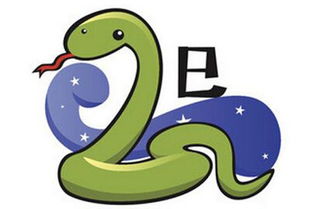 生肖蛇的酒保跟什么属相最合适(属蛇的配什么属相最好)