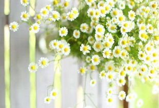 名字数理为4子女缘薄(姓名测运势)