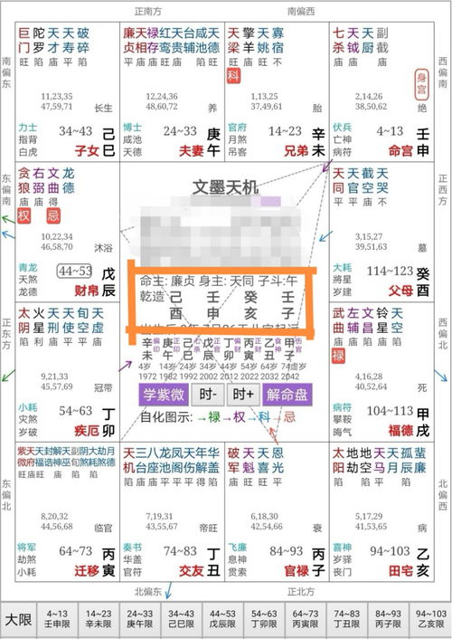 命宫紫微陷落(紫微命盘各命宫详解,十二宫详解 )